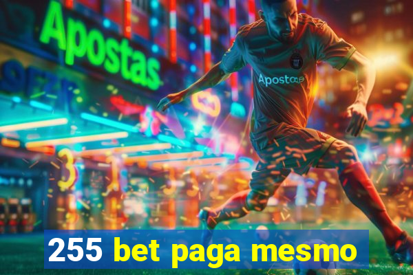 255 bet paga mesmo